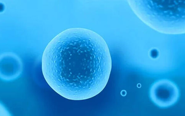 12个卵泡试管婴儿成功率评估，年龄成为最终影响因素