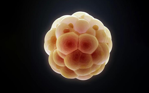 17个卵泡做试管婴儿想成功，监测优势卵泡妊娠更容易