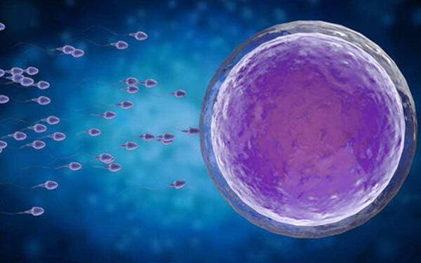 2个卵泡发育差还不排卵，3种试管婴儿方案助好孕
