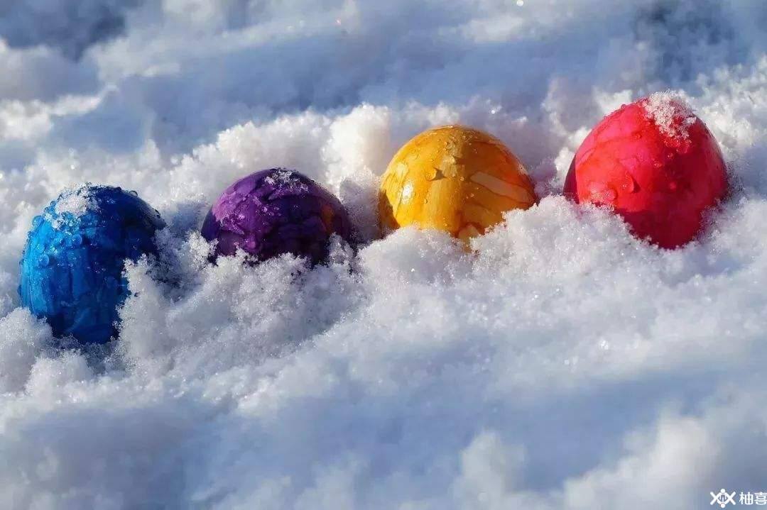 雪藏卵子