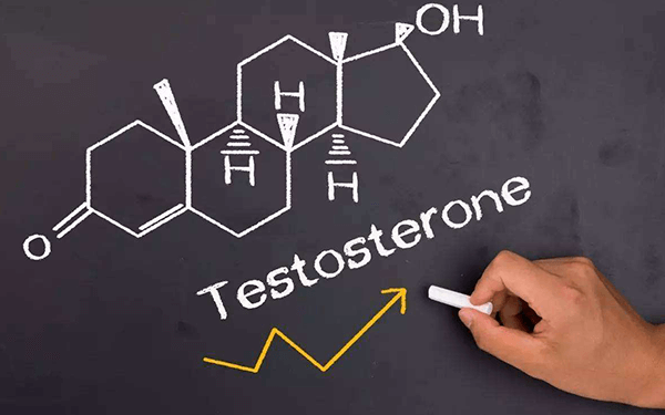 睾酮是什么?据悉偏高或偏低都会影响生育