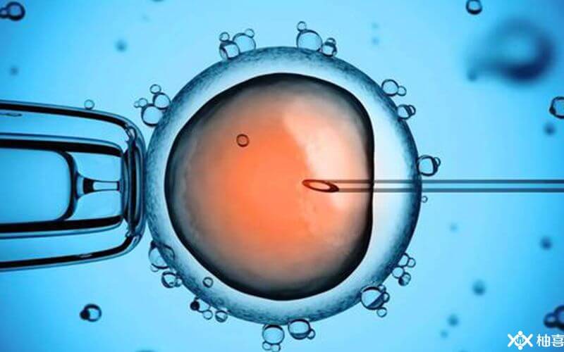 胚胎移植一次多少钱