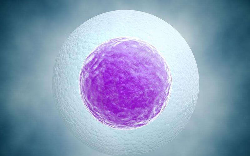 冷冻胚胎移植的流程是怎样的