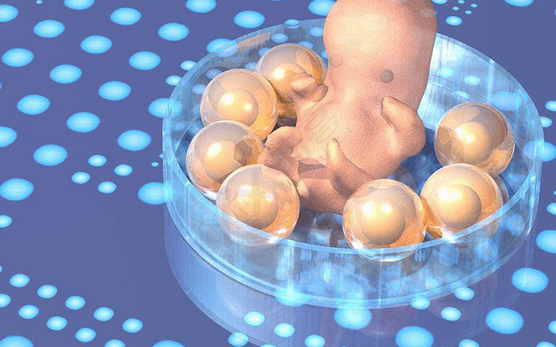 做试管婴儿促排卵流程