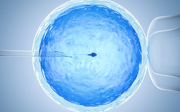 鲜胚移植当天算不算第一天？移植后这些注意事项要了解