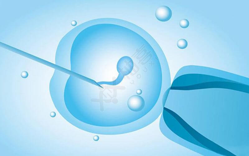 单胚胎移植成功率高吗