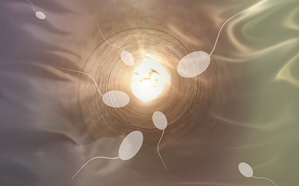 想要怀孕成功率高，35岁试管婴儿移植几个胚胎更好？