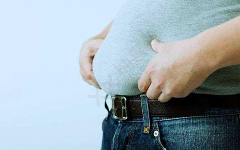 身材肥胖也会影响到精子质量