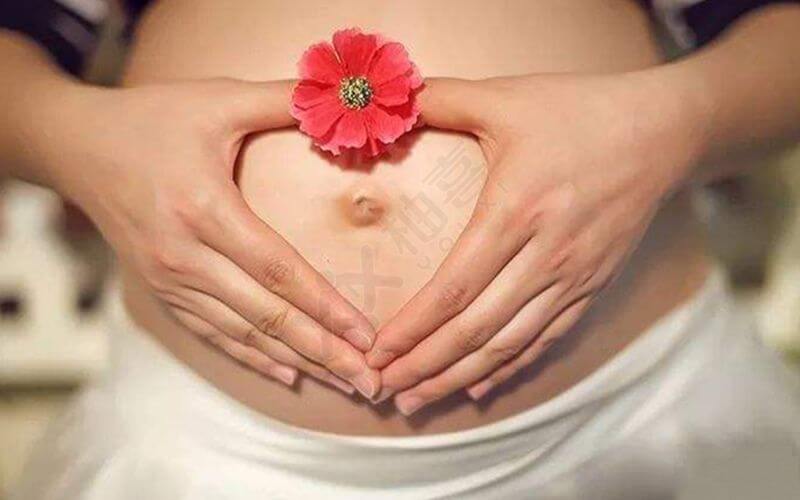 大龄女性自卵怀孕成功率