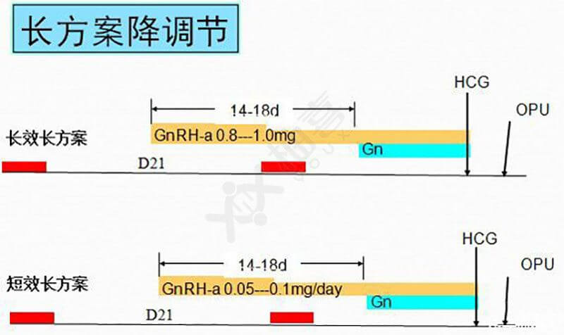 长方案促排时间要更久