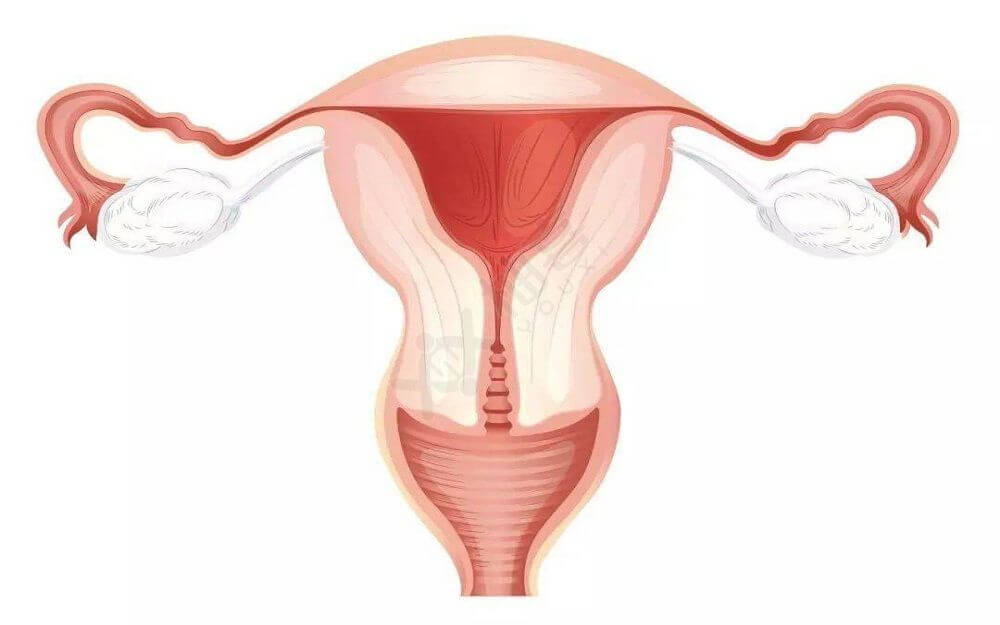 子宫异常会影响怀孕