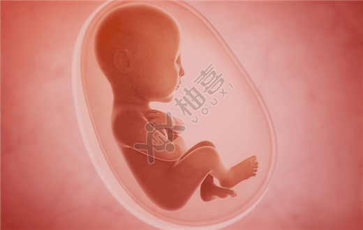 TWC第比利斯妇女生殖中心常见的试管婴儿技术有哪些？