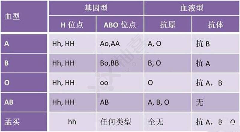 血型（ABO RH）的检查