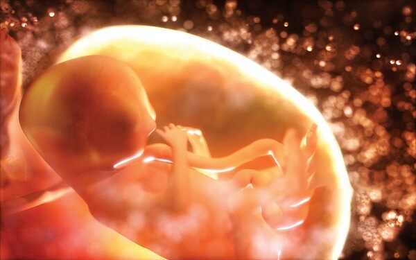 胎梦一般会在什么时候出现，孕4周吗？