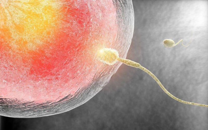 单身试管婴儿可以自己提供精子吗