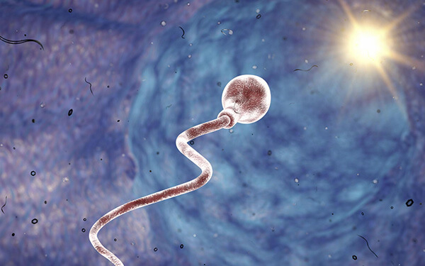 卵巢早衰|多囊皆是卵泡发育不好的原因,不良表现有3种