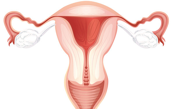 amh0.21也能做试管，卵巢早衰、停经还是能怀孕