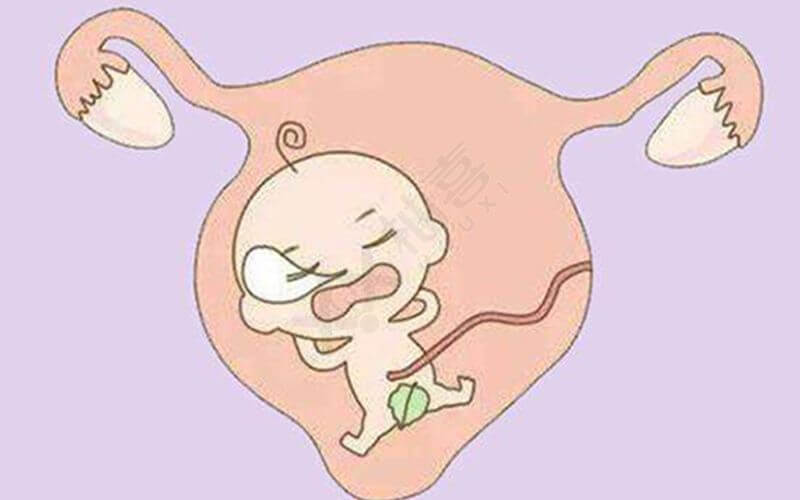 孕前检查对胎儿的好处