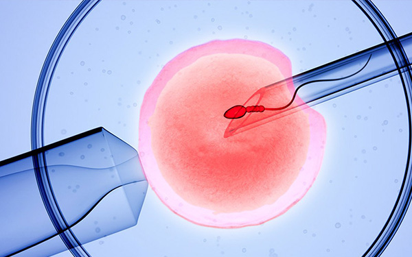 子宫内膜薄怀孕难，如何提高试管婴儿成功率？