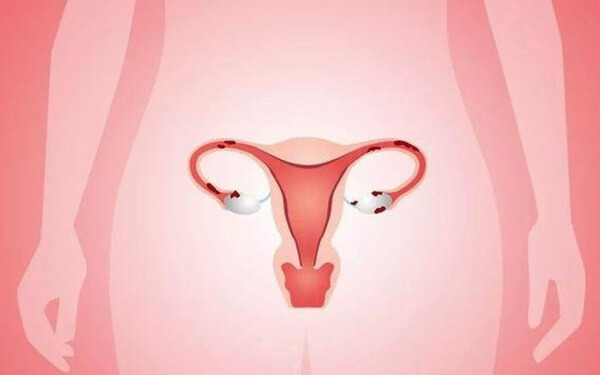 清宫手术导致子宫内膜薄,厚度恢复时间为1个月