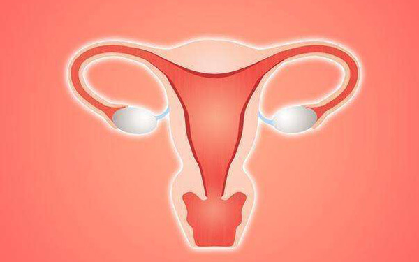 始基子宫能生育?通过腹部取卵可进行第三方辅助生殖
