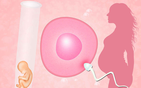 试管婴儿移植囊胚是不是成功率有90%呢？