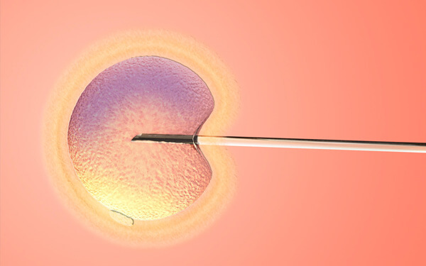 试管婴儿移植4AB囊胚没有着床的原因是什么?