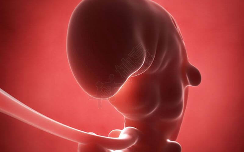 胎停的诊断标准是什么