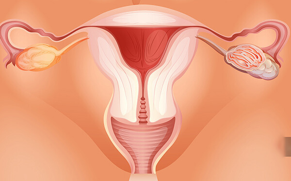 纵隔子宫怀孕2周后肚子会撑开，真的有这么可怕吗？