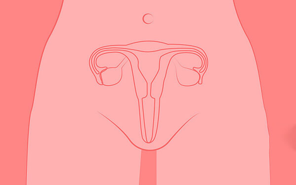 28岁女性患纵隔子宫，同房后怀孕能生吗？