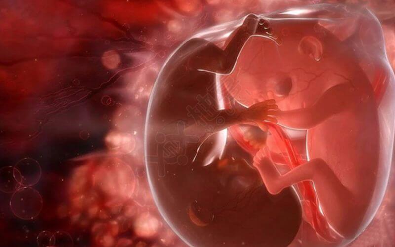 激素异常也会导致胎停育