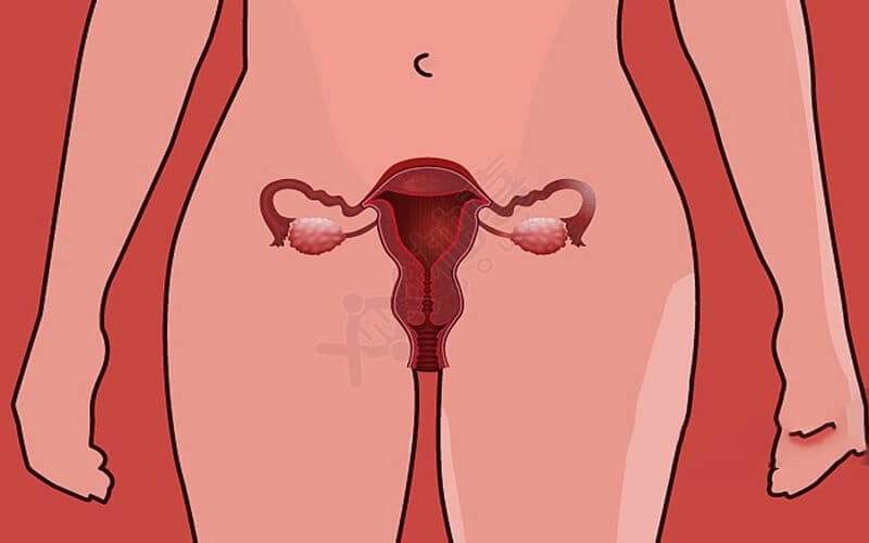 残角子宫女性怀孕后应定期做孕检