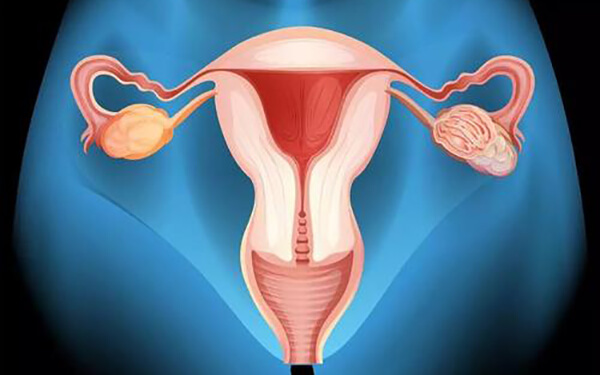 一直腹痛是子宫内膜炎的特征吗？其症状有哪些？