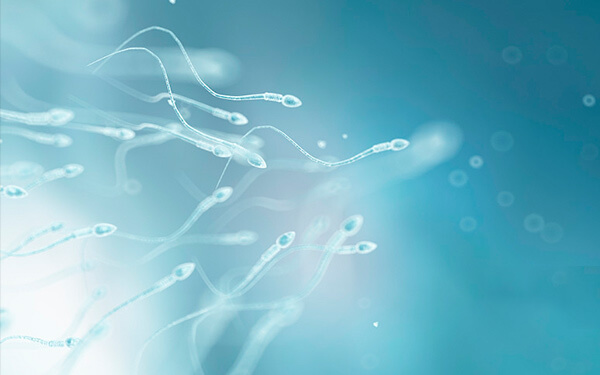 以前从没听说过精子检查，它到底是什么意思？