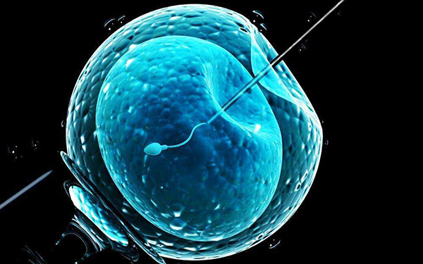 多囊卵巢做试管同时打果纳芬和达必佳试管有什么作用？