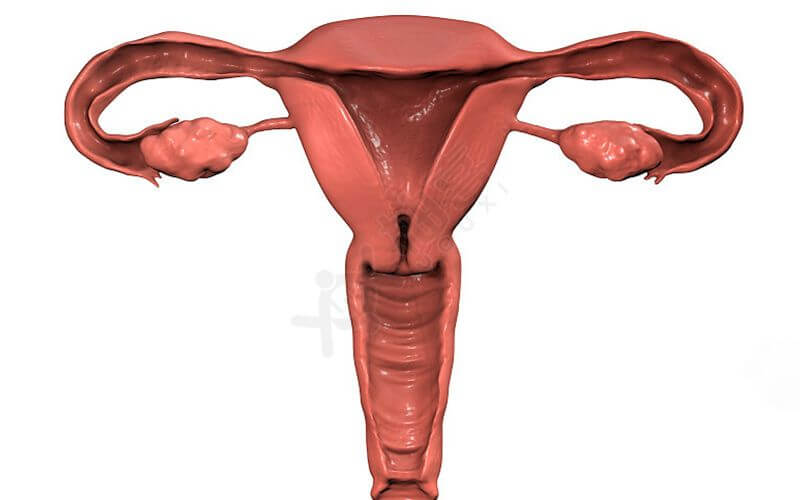输卵管切除会影响女性生育能力