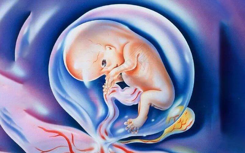 胎儿畸形最早什么时候可以查出来