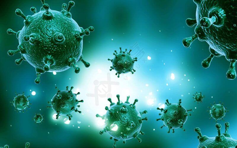 风疹病毒是什么