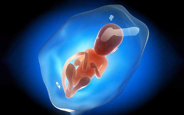 胎儿畸形的原因有哪些？吃猪脑顶会造成胎儿畸形吗？