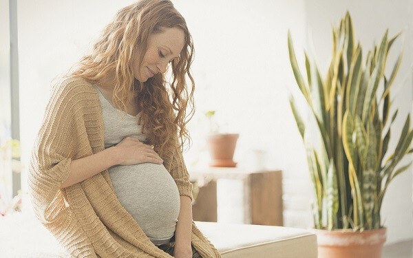 多胎妊娠几个月才能从b超看出来?