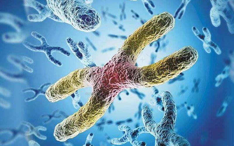 8号染色体异常会怎样或导致这5种罕见疾病