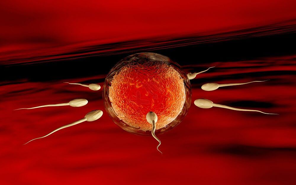 供精子人工授精是什么手术
