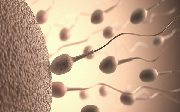 做人工授精需要放几个精子？可以做双胞胎吗？