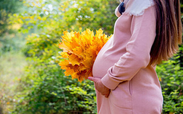 26岁卵泡萎缩女性还有多少受孕概率？
