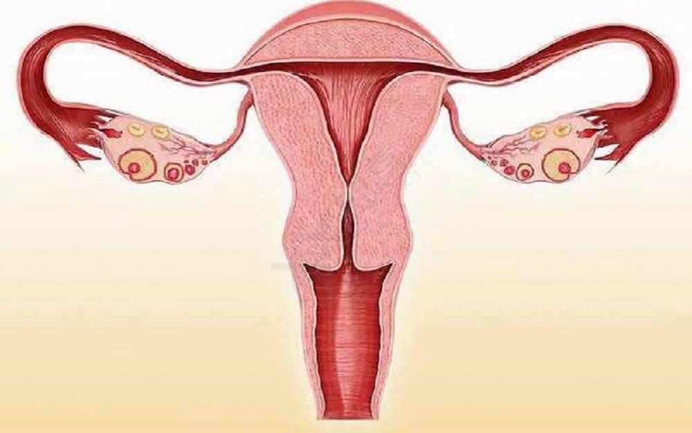输卵管堵塞的原因是什么是月经不调导致的吗