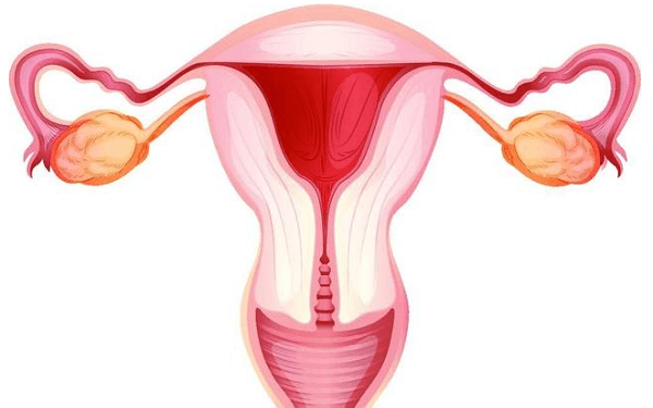 输卵管粘连有哪些症状表现?月经异常算不算?