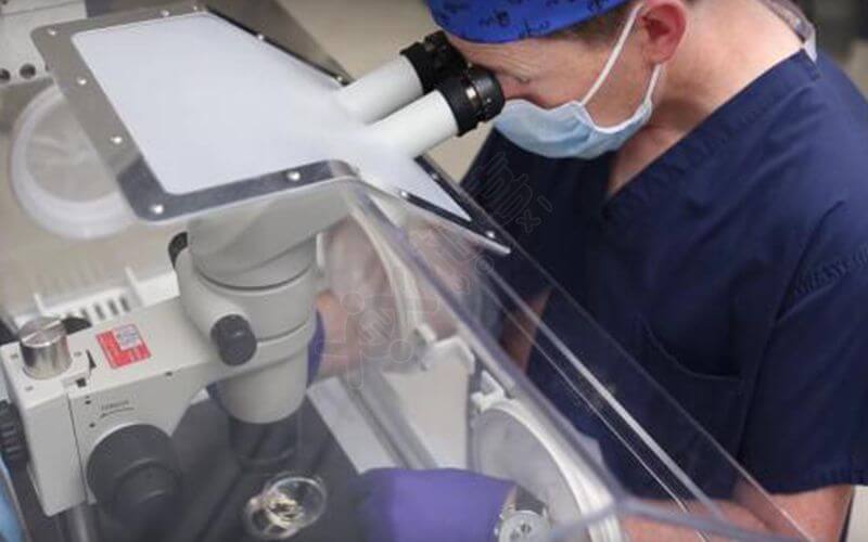 泉州妇幼保健院医生正在培养胚胎