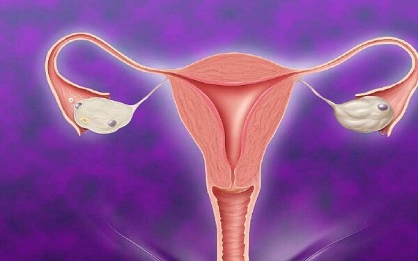 双侧输卵管堵塞做试管婴儿的成功率是多少?