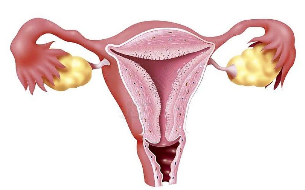 输卵管病变会有哪些症状