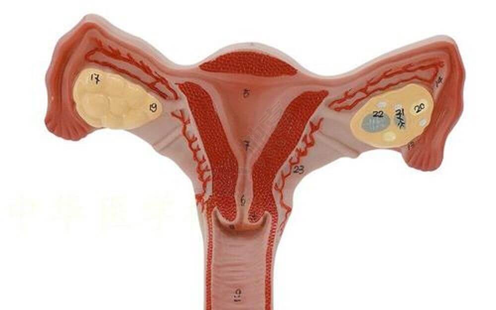 输卵管堵塞术后能不能怀孕